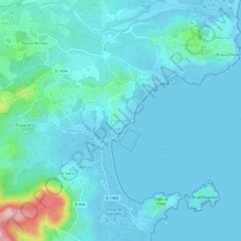 Mapa topográfico Pinarellu, altitud, relieve