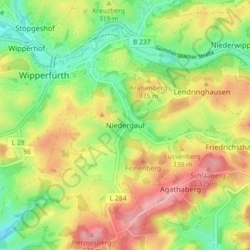 Mapa topográfico Niedergaul, altitud, relieve
