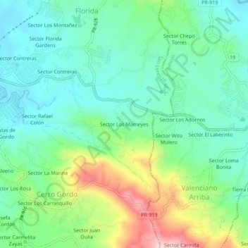 Mapa topográfico Sector Los Mameyes, altitud, relieve