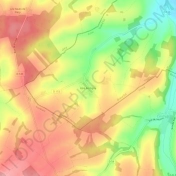 Mapa topográfico Bois de Rigny, altitud, relieve