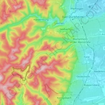 Mapa topográfico Wachenheim an der Weinstraße, altitud, relieve